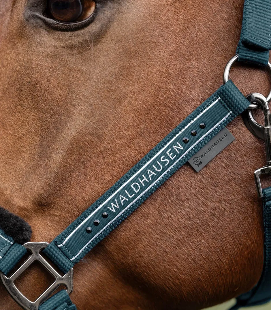 WALDHAUSEN Halfter Elegant
