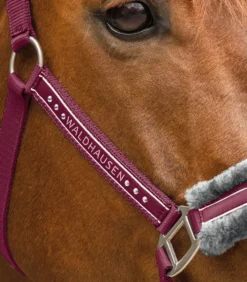 WALDHAUSEN Halfter Elegant