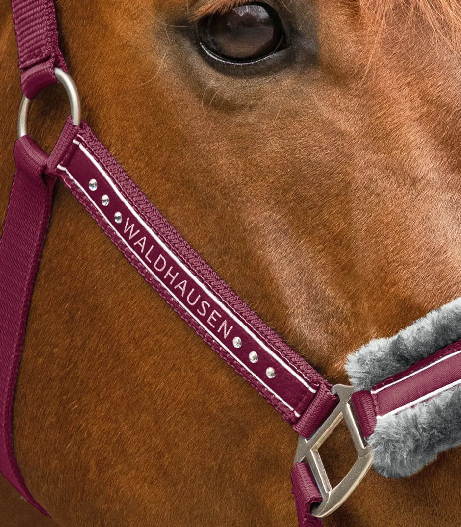 WALDHAUSEN Halfter Elegant