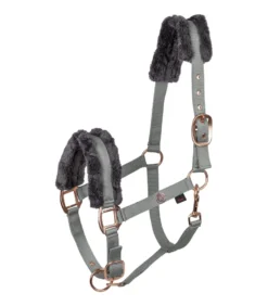 WALDHAUSEN Halfter Modern Rosé