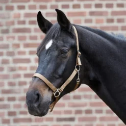 WALDHAUSEN Halfter Perlon