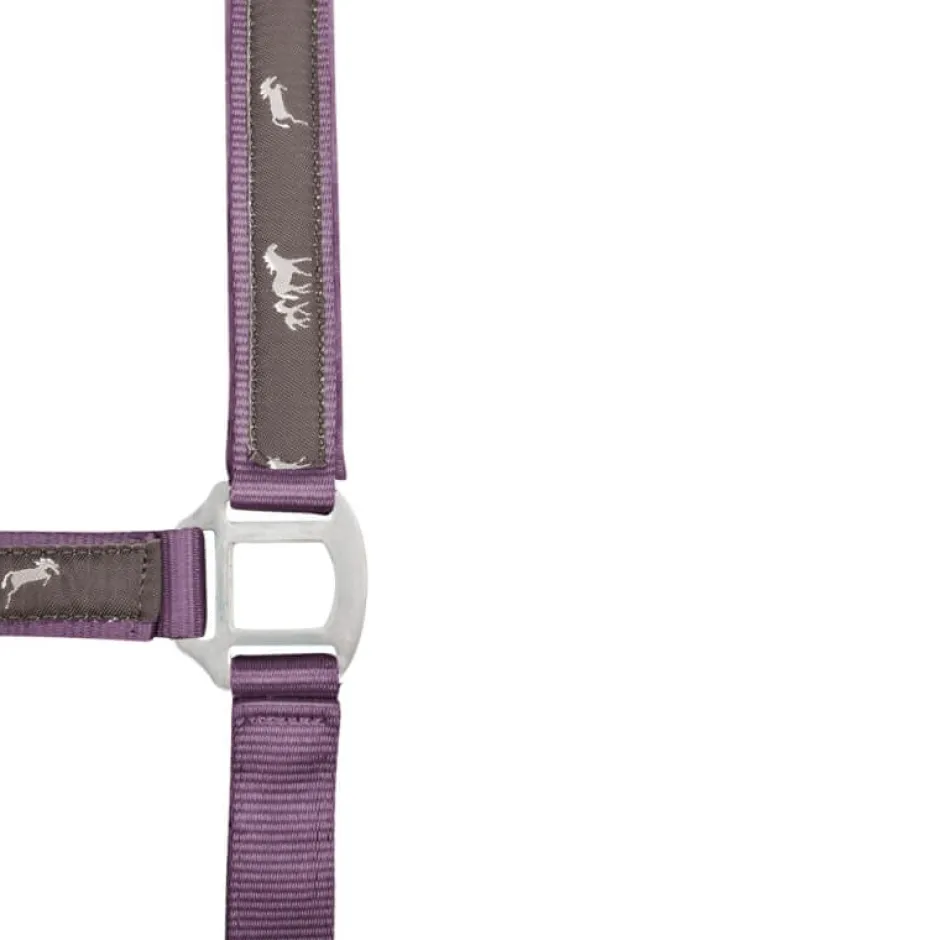 WALDHAUSEN Halfter Pferdchen