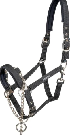 WALDHAUSEN Halfter Pro Safety