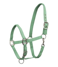 WALDHAUSEN Halfter Satin