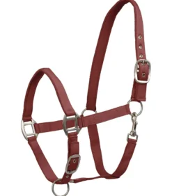 WALDHAUSEN Halfter Satin