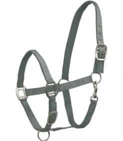 WALDHAUSEN Halfter Satin