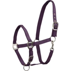 WALDHAUSEN Halfter Satin
