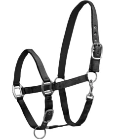 WALDHAUSEN Halfter Satin