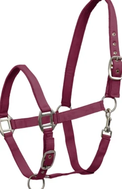 WALDHAUSEN Halfter Satin
