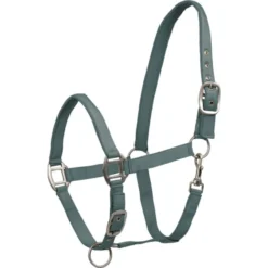 WALDHAUSEN Halfter Satin
