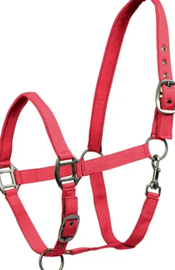 WALDHAUSEN Halfter Satin