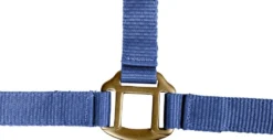 WALDHAUSEN Halfter Satin