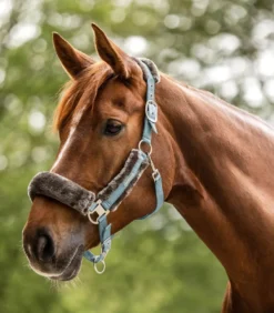 WALDHAUSEN Halfter Soft