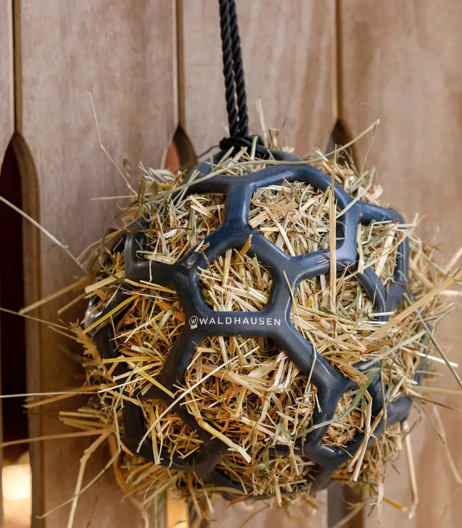 WALDHAUSEN Heuball