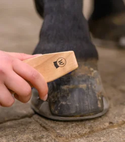 WALDHAUSEN Hufbürste