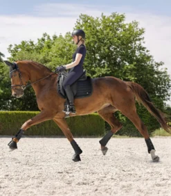 WALDHAUSEN Hufglocke Rimini