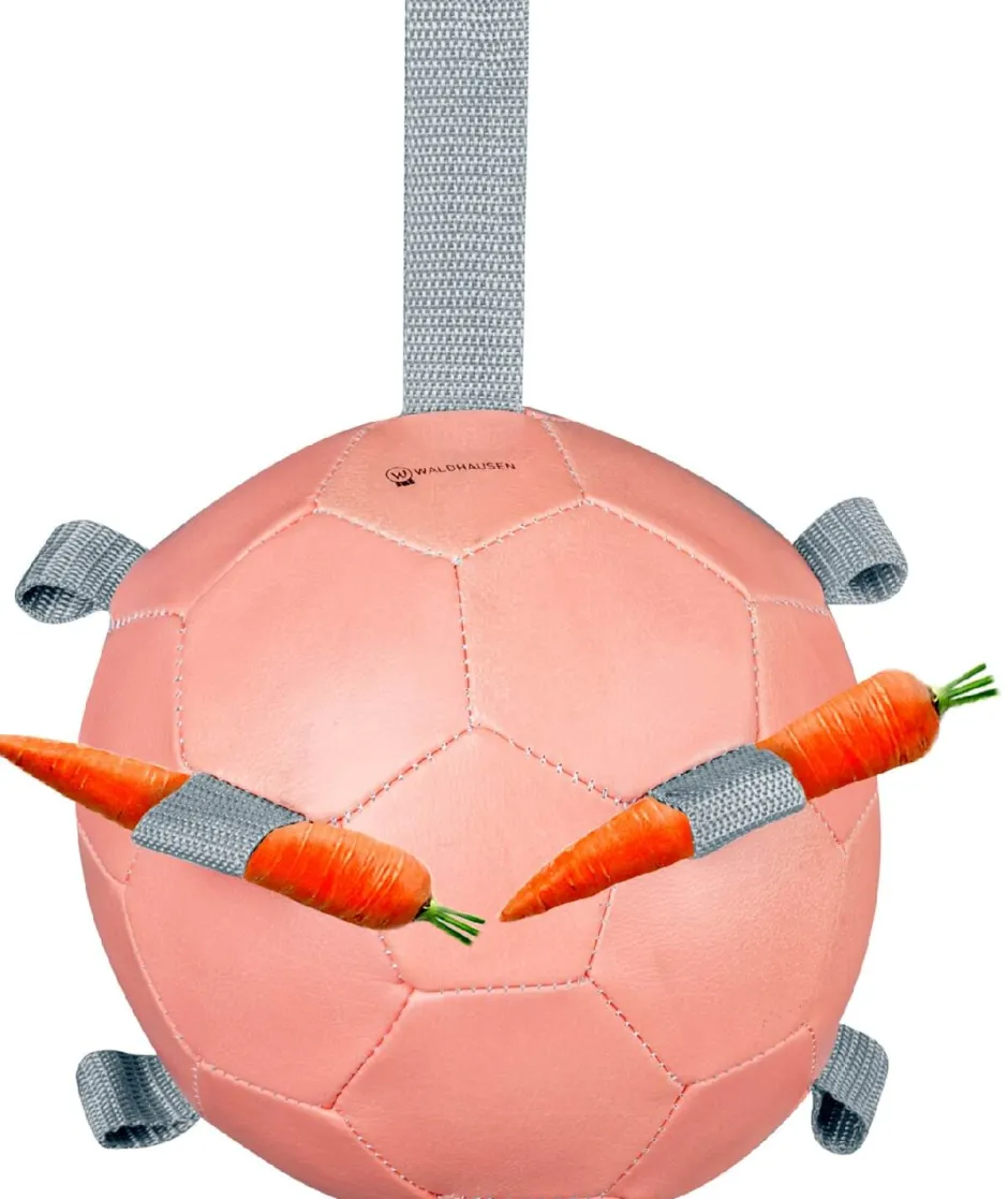 WALDHAUSEN Karottenball