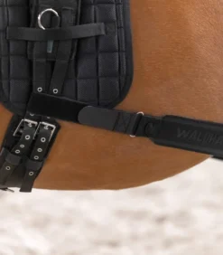 WALDHAUSEN Körperbandage