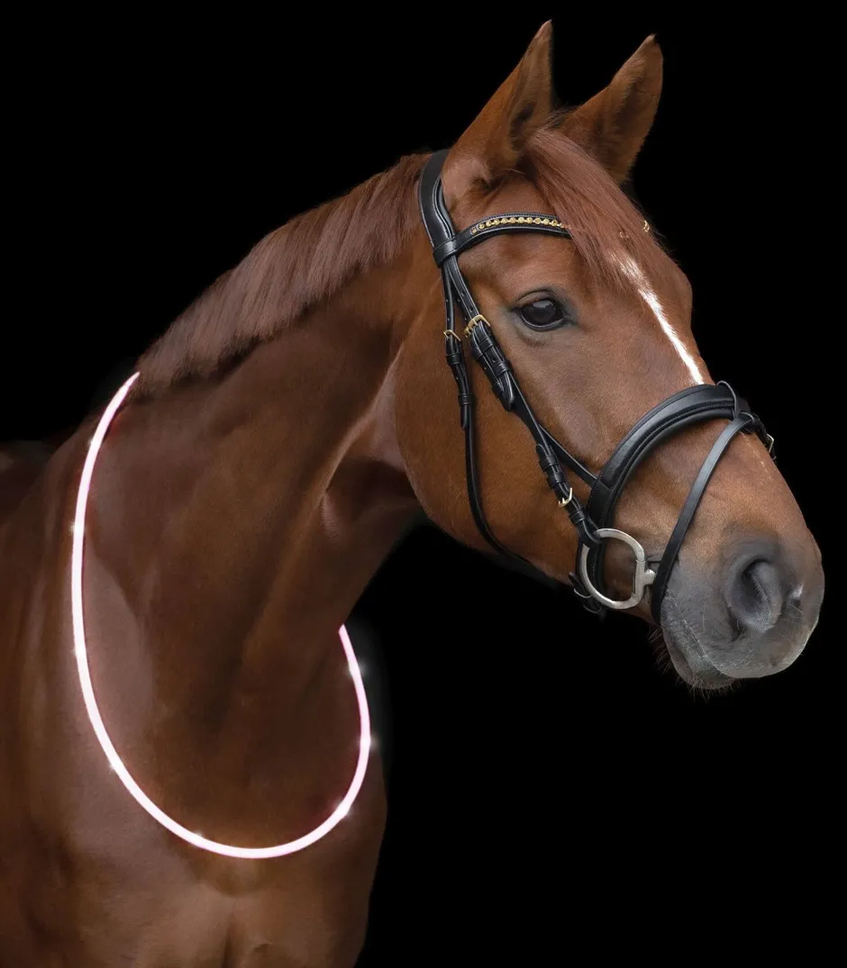 WALDHAUSEN LED-Halsriemen