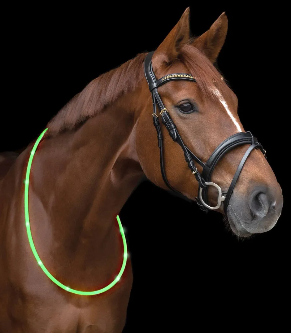 WALDHAUSEN LED-Halsriemen