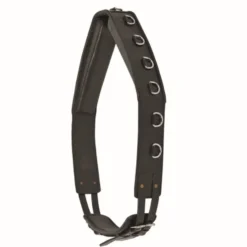 WALDHAUSEN Longiergurt, Leder, Warmblut, schwarz