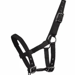 WALDHAUSEN Mini-Shetty Halfter
