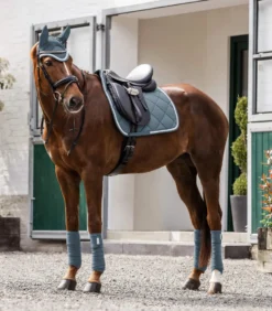 WALDHAUSEN Schabracke Competition