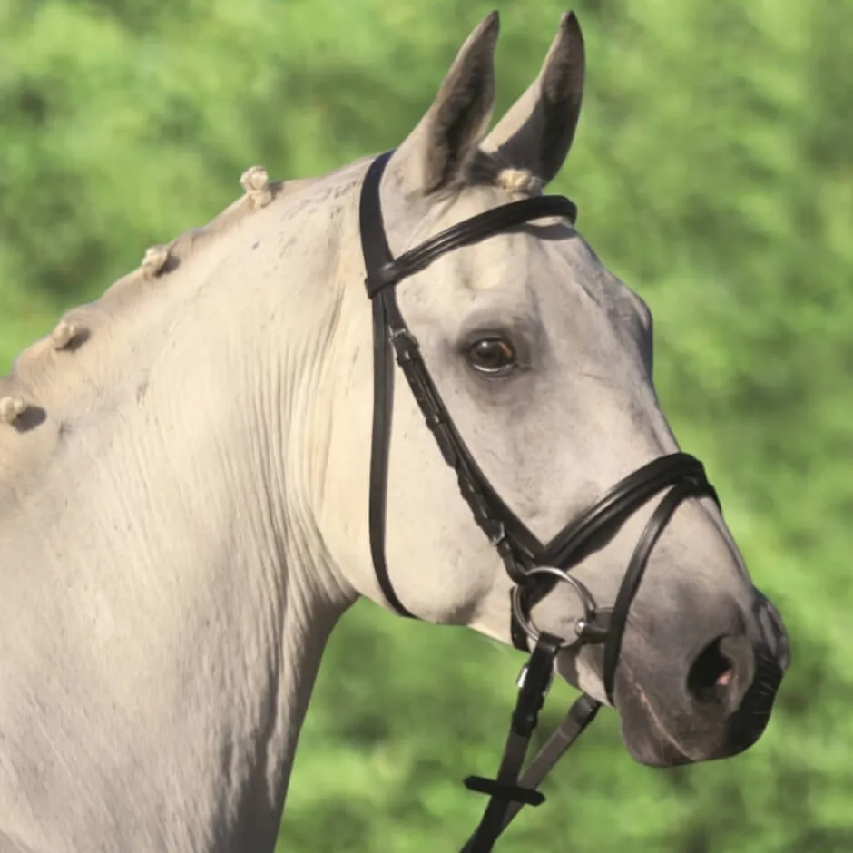 WALDHAUSEN STAR Trensenzaum Lifestyle