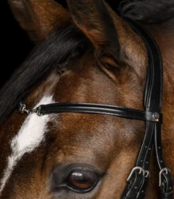 WALDHAUSEN X-Line Trensenzaum Charmbit