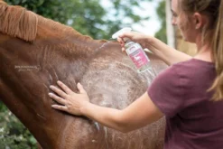 ZEDAN Bio-Ginkgo Shampoo