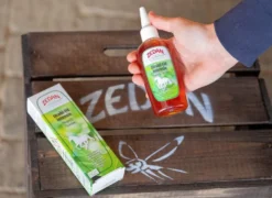 ZEDAN Strahl-Fit Intensiv